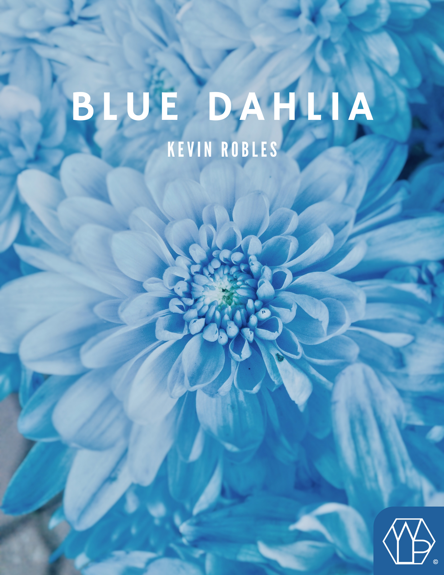 Blue Dahlia by Kevin Robles