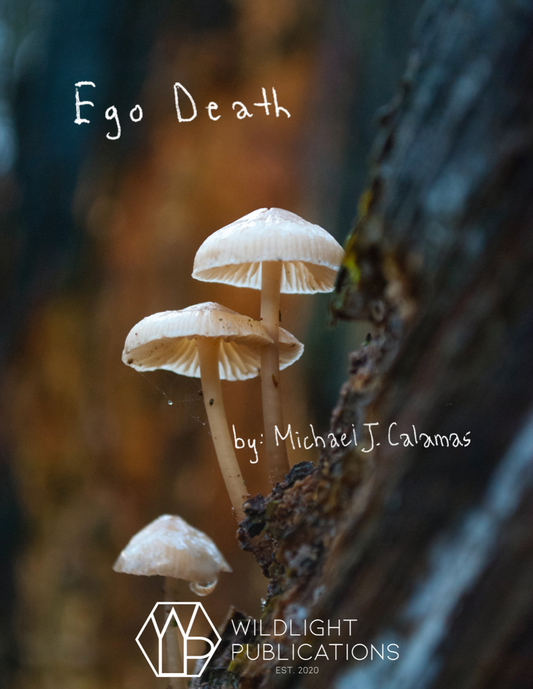 Ego Death by Michael Calamas