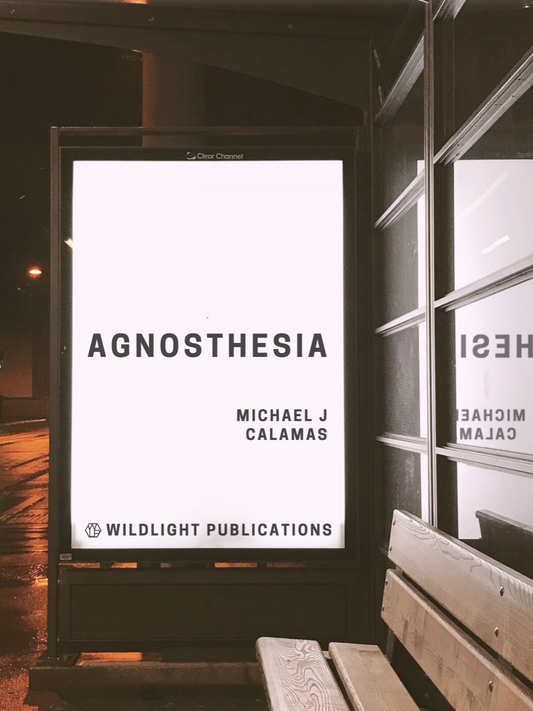 Agnosthesia by Michael Calamas