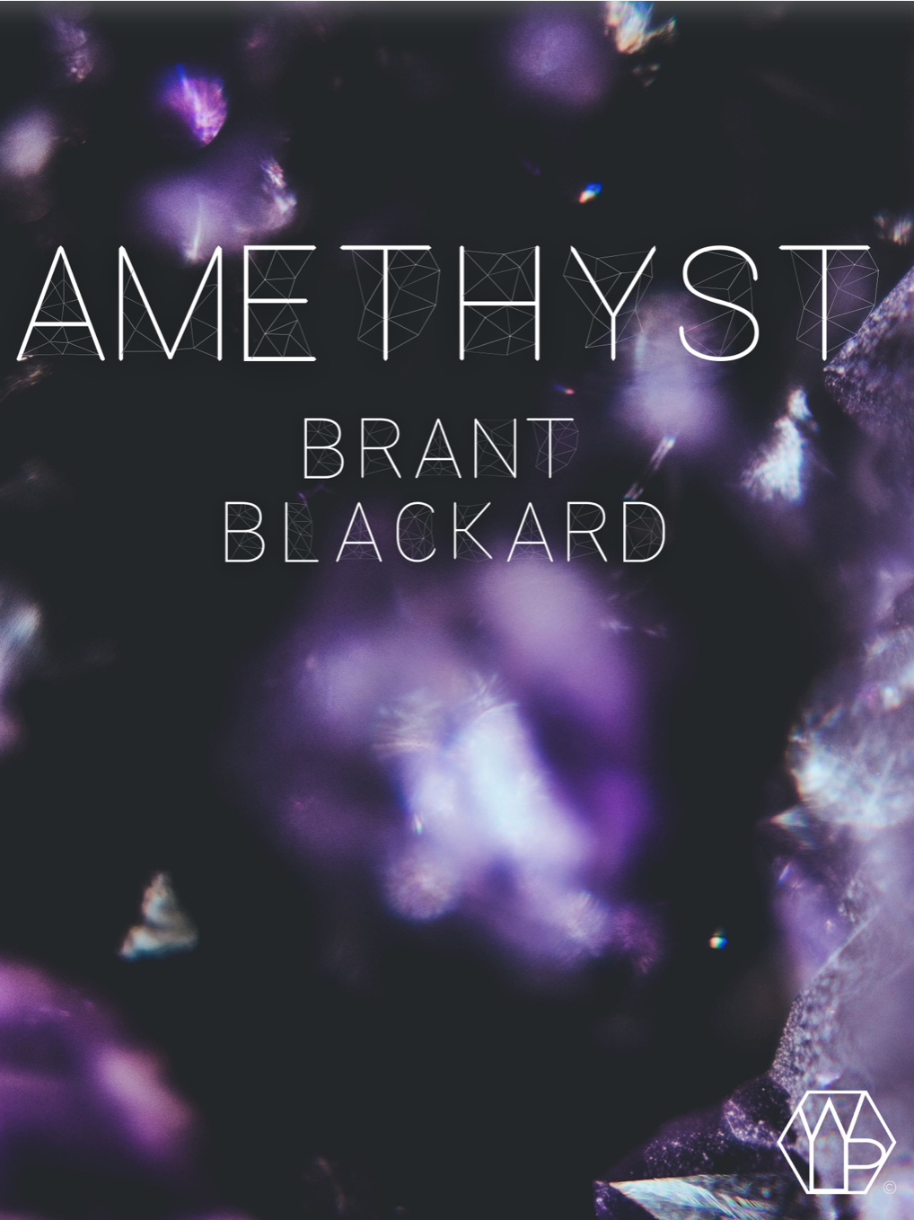 Amethyst by Brant Blackard