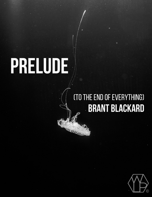 Prelude (to The End of Everything) by Brant Blackard